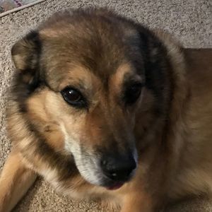 Meet your Posher, Frances